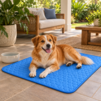 Dog relaxing on the CoolPaws cooling mat in a shaded patio