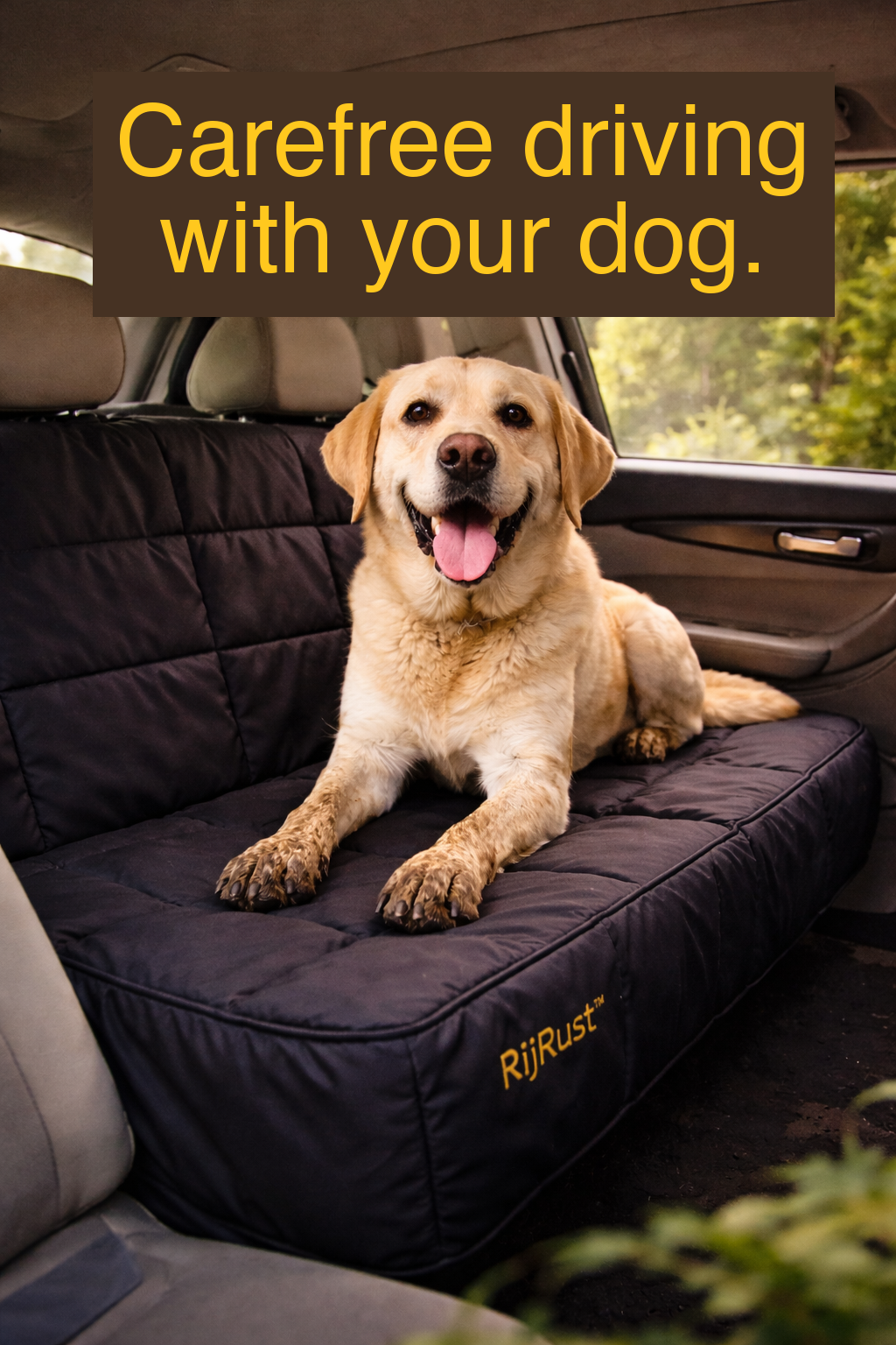 Foto_3_Hondenhoes