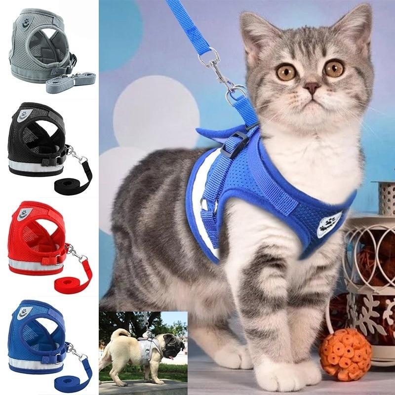Milo reflective cat harness and leash set in assorted colours