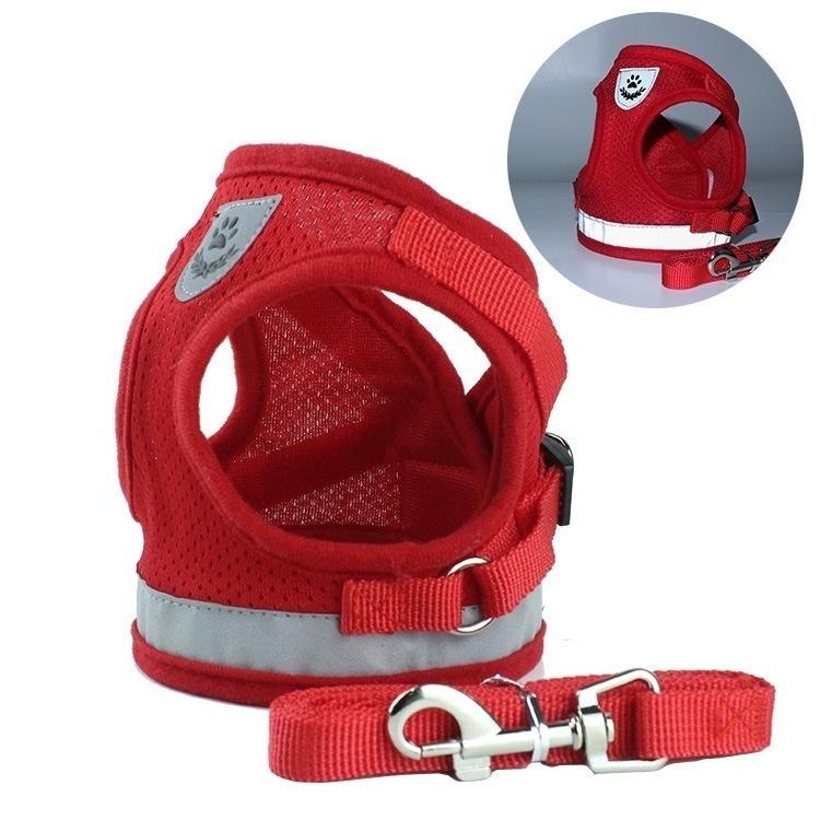 Milo harness buckle and lead attachment detail