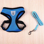 Milo reflective cat harness and leash set in Blue