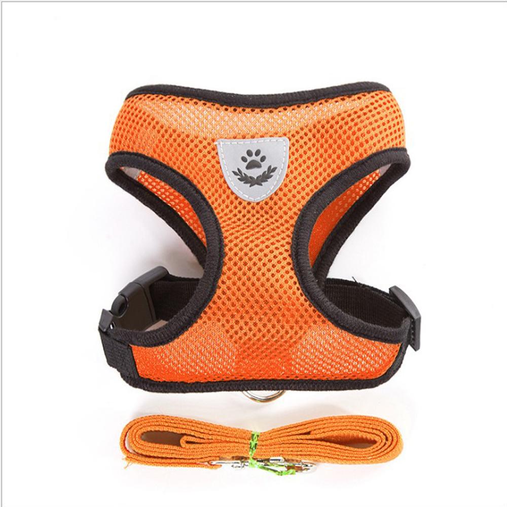 Milo reflective cat harness and leash set in Orange