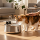 PureFlow | Water your cat craves