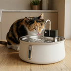 Cat drinking from PureFlow