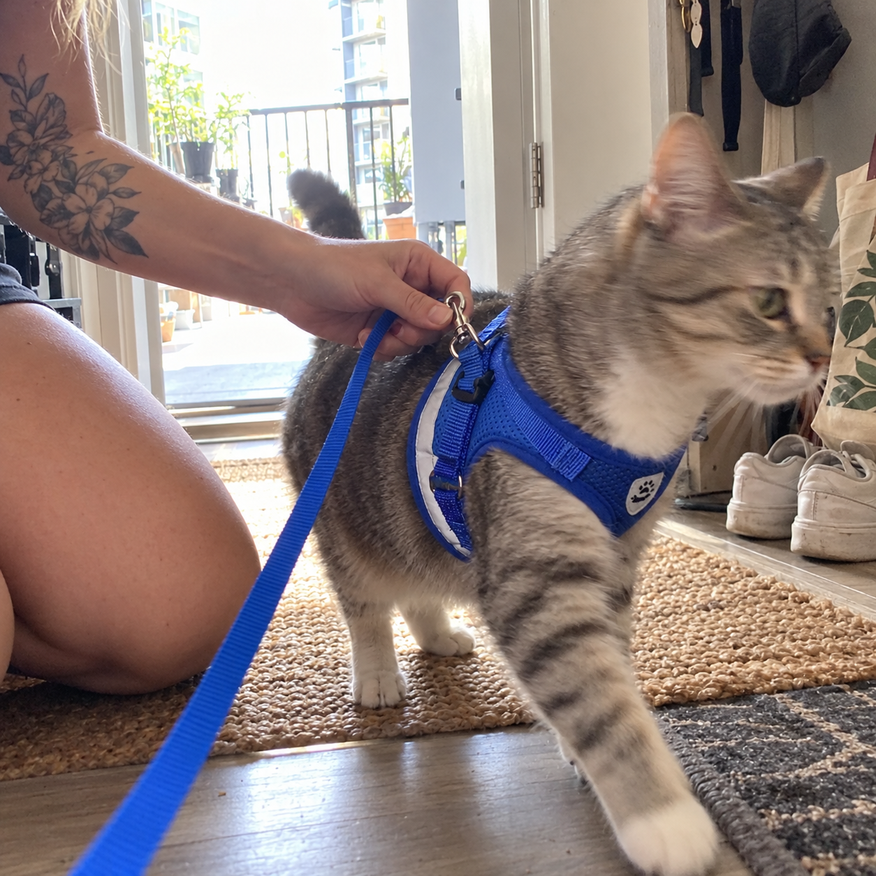 Customer lifestyle photo for Milo | Reflective Cat Harness & Leash Set